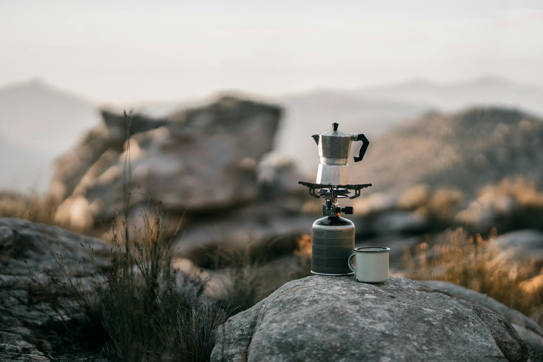 mokapot